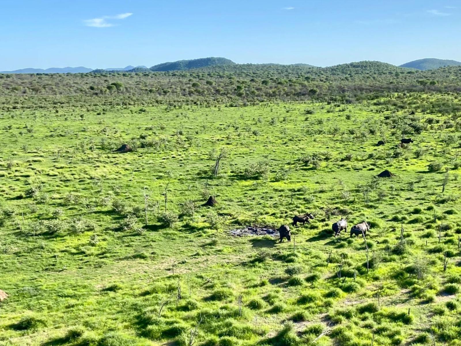 Kifaru Bush Camp Hotell Outjo Exteriör bild